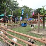 Solo Safari Zoo Bisa Dijadikan Percontohan Tata Kelola BUMD