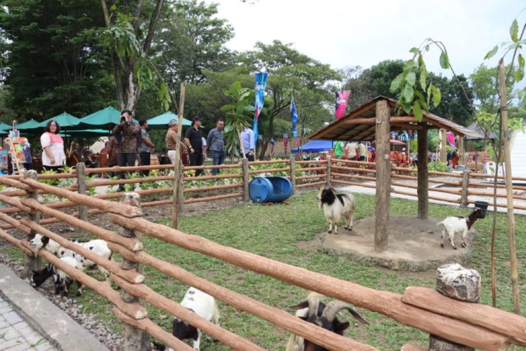 Solo Safari Zoo Bisa Dijadikan Percontohan Tata Kelola BUMD