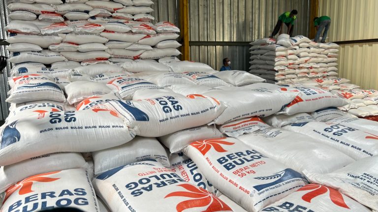 NFA Dukung Tindak Tegas Penyalahgunaan Beras Bulog
