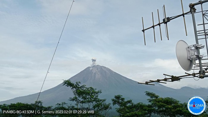 Gunung Semeru Erupsi, Keluarkan Letusan 19 Kali