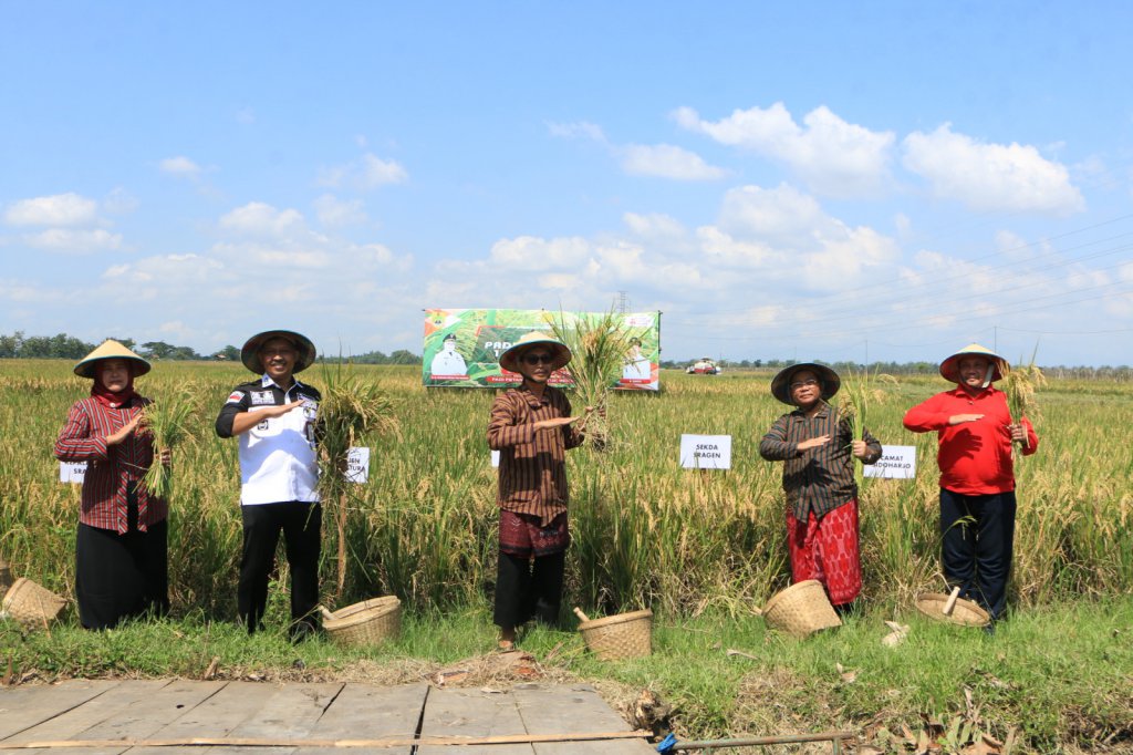 Sragen Surplus Beras Dukung Panen Raya Padi Nusantara 1 Juta Hektar