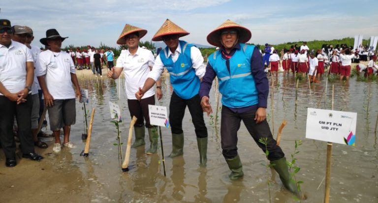 Wujudkan Pantura Lestari, PLN Tanam 400 Ribu Lebih Mangrove