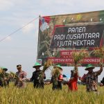 20 Ribu Hektar Padi di 17 Kecamatan di Brebes Siap Dipanen