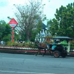 Delman Menjadi Alternatif Angkutan Wisata Religi di Kota Wali