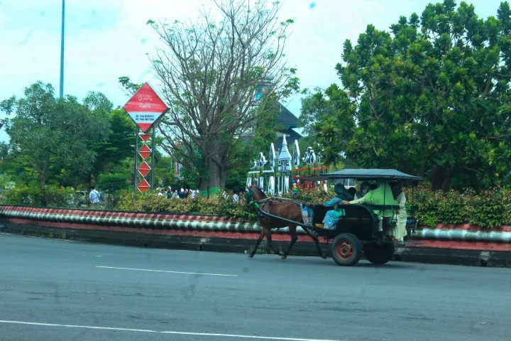 Delman Menjadi Alternatif Angkutan Wisata Religi di Kota Wali