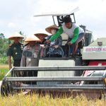 Bulog Diminta Optimalkan Serapan Gabah Petani Cilacap