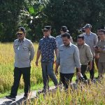 Mentan: Panen Raya Satu Juta Hektar akan Dimulai di Kebumen