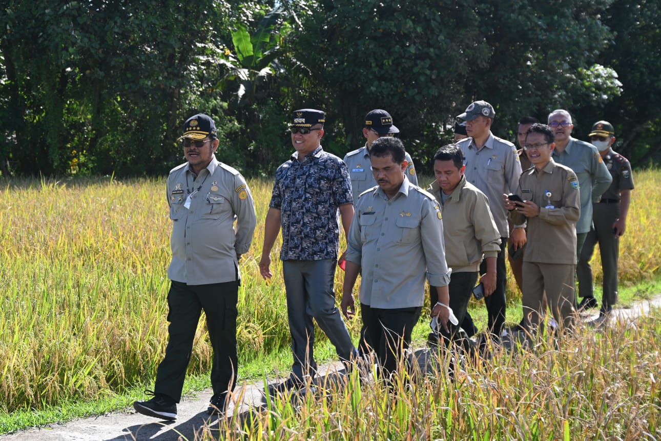 Mentan: Panen Raya Satu Juta Hektar akan Dimulai di Kebumen