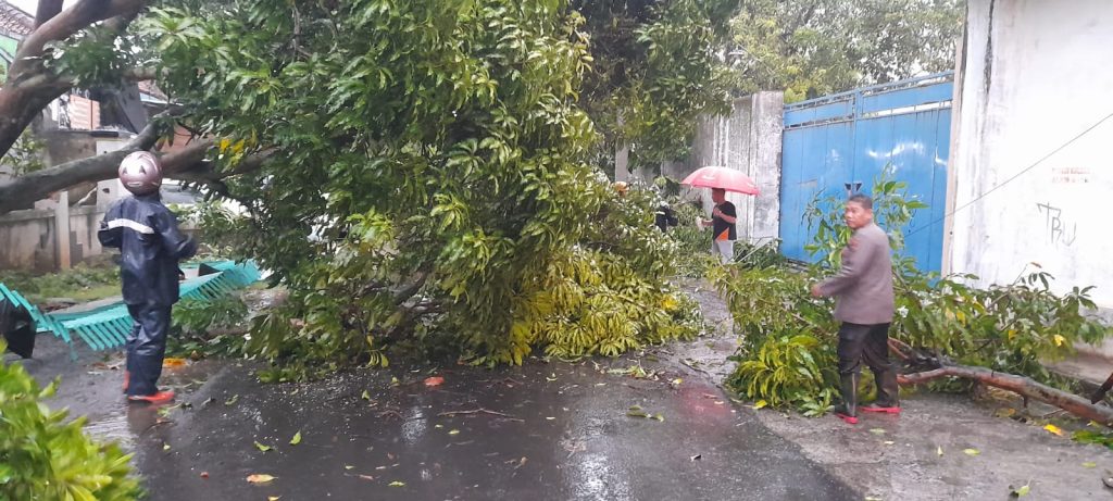 Hujan Deras Disertai Angin Kencang Patahkan Sejumlah Dahan dan Rusak Atap Bangunan