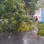 Hujan Deras Disertai Angin Kencang Patahkan Sejumlah Dahan dan Rusak Atap Bangunan