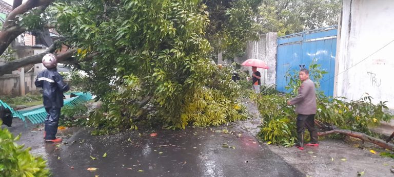 Hujan Deras Disertai Angin Kencang Patahkan Sejumlah Dahan dan Rusak Atap Bangunan