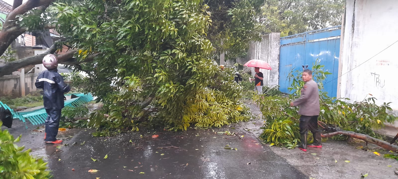 Hujan Deras Disertai Angin Kencang Patahkan Sejumlah Dahan dan Rusak Atap Bangunan