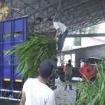 Bantuan pakan ternak dari Kementan RI tiba di Desa Tlogolele, Rabu (15/03)