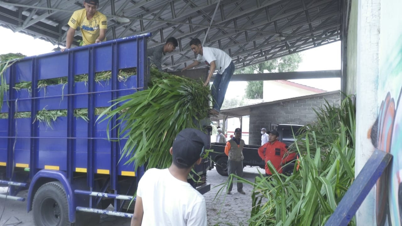 Bantuan pakan ternak dari Kementan RI tiba di Desa Tlogolele, Rabu (15/03)