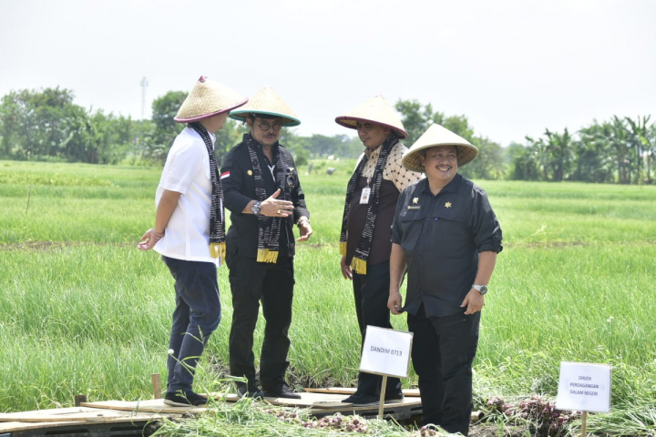 Mentan SYL dan Wamendag Panen Raya, Lalu Lepas Pasokan Bawang Merah ke Ibukota
