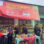 Tanam 100 Ribu Cabai di 13 Kecamatan, Pecahkan Rekor MURI