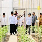 Presiden Jokowi hasil pertanian di Ponpes Al-Ittifaq, Kabupaten Bandung, Jawa Barat, Senin (06/03).