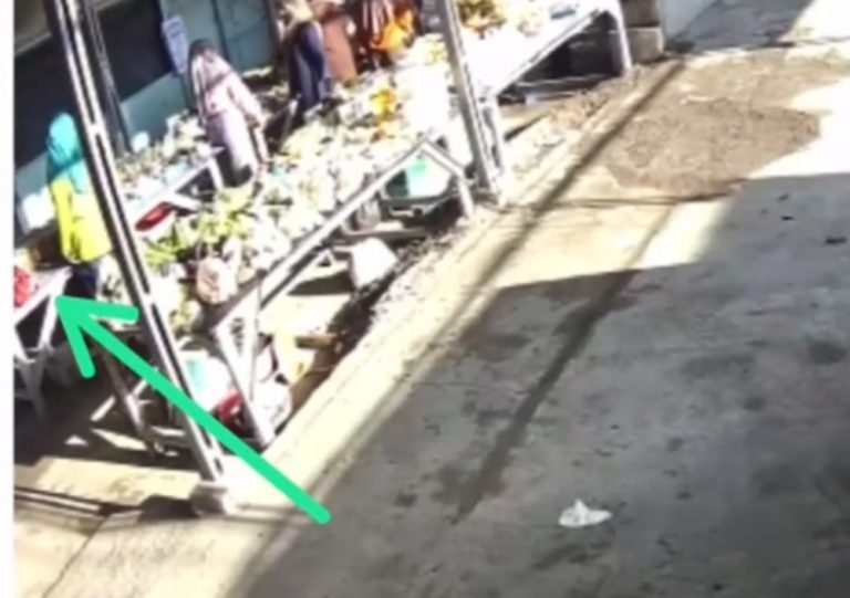 Polsek Kradenan Amankan Pelaku Pencurian di Warung Sayuran