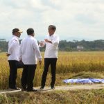 Usai Panen Bersama Presiden, Mentan SYL Canangkan Percepatan Tanam