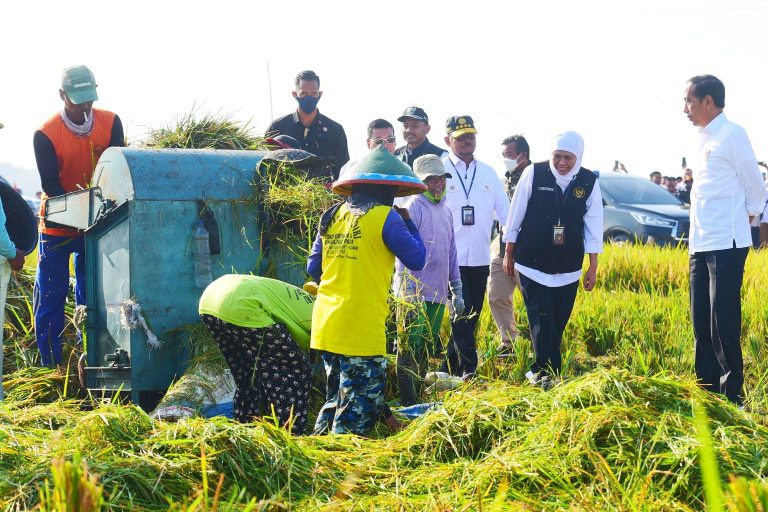 Presiden Jokowi Imbau, Usai Panen Petani Segera Menanam Padi Kembali