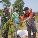 Kota Pekalongan Punya Agrowisata Baru Petik Kelengkeng