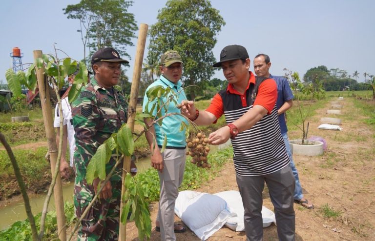 Kota Pekalongan Punya Agrowisata Baru Petik Kelengkeng