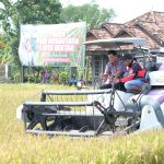 Panen Padi Nusantara Kukuhkan Klaten Jadi Daerah Penyanggah Pangan