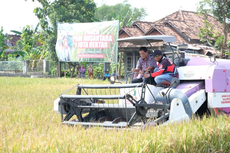 Panen Padi Nusantara Kukuhkan Klaten Jadi Daerah Penyanggah Pangan