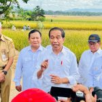 Saat Presiden Jokowi Panen Bersama Menteri Pertanian di Kebumen