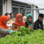 HIDROPONIK: Anggota Komisi E mengamati tanaman hidroponik di BLKP Pemprov Jateng di Kecamatan Klampok, Banjarnegara.