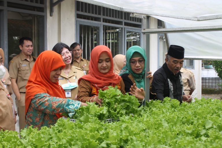 HIDROPONIK: Anggota Komisi E mengamati tanaman hidroponik di BLKP Pemprov Jateng di Kecamatan Klampok, Banjarnegara.