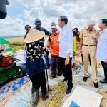 Presiden Jokowi didampingi Menhan Prabowo Subianto dan Gubernur Jateng Ganjar Pranowo menyaksikan panen raya padi, di Kebumen, Provinsi Jawa Tengah, Kamis (09/03).