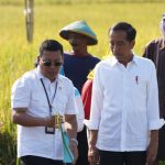 Panen Raya Tiba, Badan Pangan Nasional Segera Terbitkan HPP Terbaru