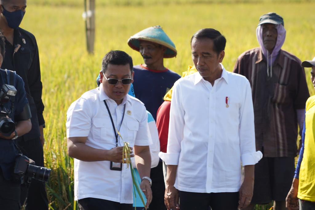 Panen Raya Tiba, Badan Pangan Nasional Segera Terbitkan HPP Terbaru