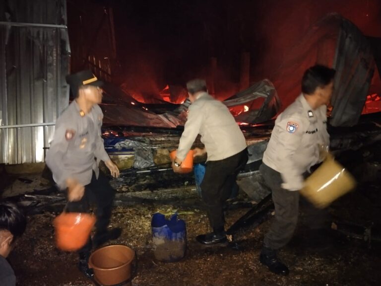 Diduga Korsleting Listrik, Kandang Ayam Ludes Terbakar Kerugian Rp 1,5 M