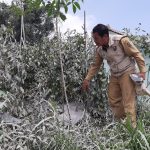 Kepala Dinas Pertanian Boyolali, Bambang Jiyanto mengecek salah satu ladang cabe yang terdampak erupsi Gunung Merapi di Dukuh Stabelan, Desa Tlogolele, Kecamatan Selo. Senin (13/03)