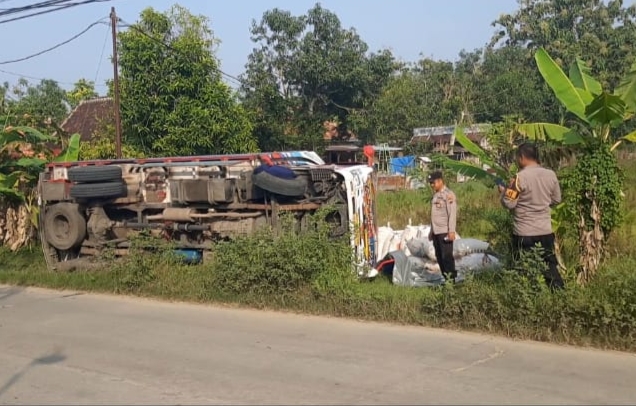 Truk Terguling, Jagung 10 Ton Berhamburan di Jalan