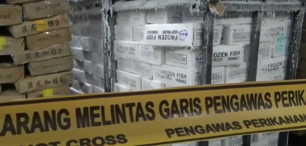 Diduga Salahi Aturan, 100 Ton Ikan Salem Impor di Juwana Disita KPP