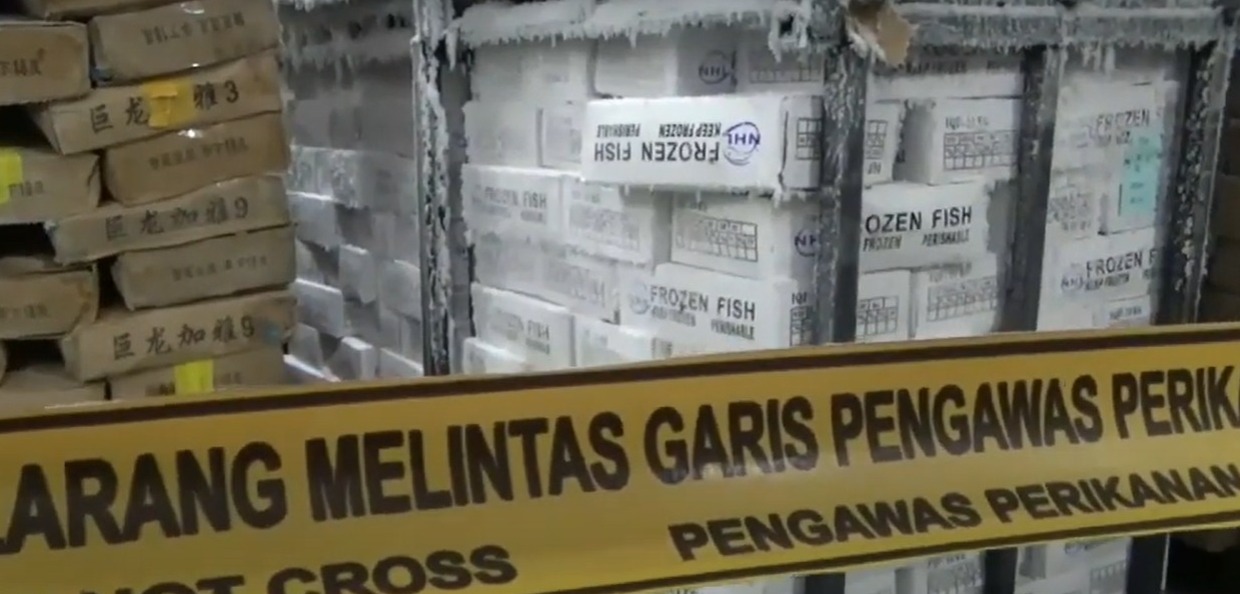 Diduga Salahi Aturan, 100 Ton Ikan Salem Impor di Juwana Disita KPP