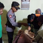 Tak Kunjung Pulang, Nenek Asal Bukateja Ditemukan Tewas di Saluran Irigasi