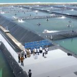 Resmikan Tambak BUBK, Targetkan 40 Ton Udang per Hektarenya