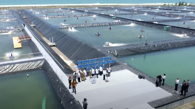 Resmikan Tambak BUBK, Targetkan 40 Ton Udang per Hektarenya