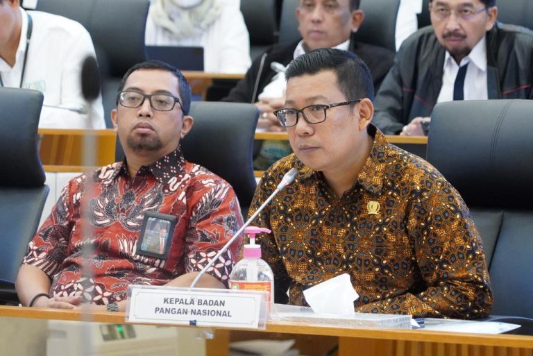 Regulasi Penjaminan Keuangan Diterbitkan, NFA Siapkan Ekosistem Pangan Terintegrasi