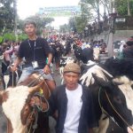 Ratusan sapi diarak keliling kampung di Desa Sruni Kecamatan Musuk, Sabtu (29/04)