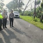 Angkut 9 Penumpang, Truk Engkel Terguling di Jalan Dayang-Pengkol