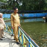 Dispeterikan Magelang Berhasil Budi Daya Ikan Beong