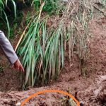 Polsek Datangi TKP Tanah Longsor yang Menewaskan Kakek 60 Tahun