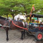 Asyiknya Berlebaran Keliling Kota Wali dengan Naik Andong
