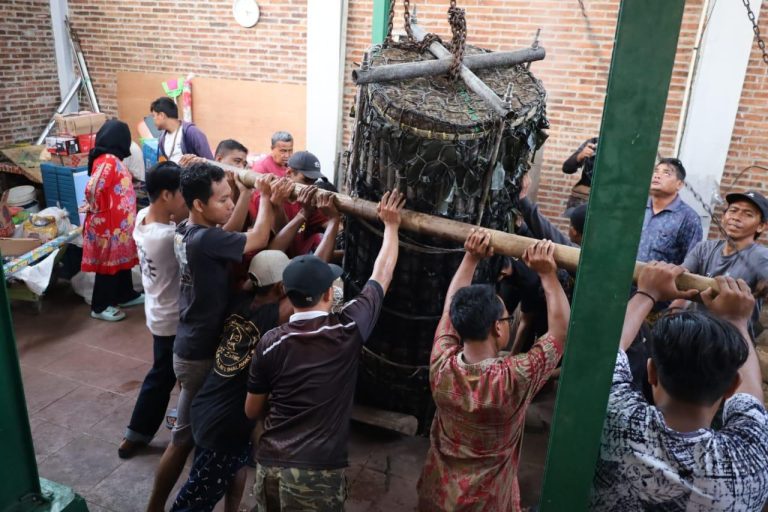 Lopis Raksasa Seberat 1.830 kg Siap Meriahkan Tradisi Syawalan Krapyak