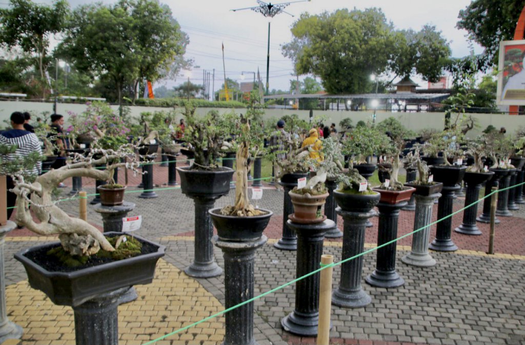 Dorong Ekraf, Gebyar Bonsai Jadi Rangkaian Hari Jadi Sragen 277